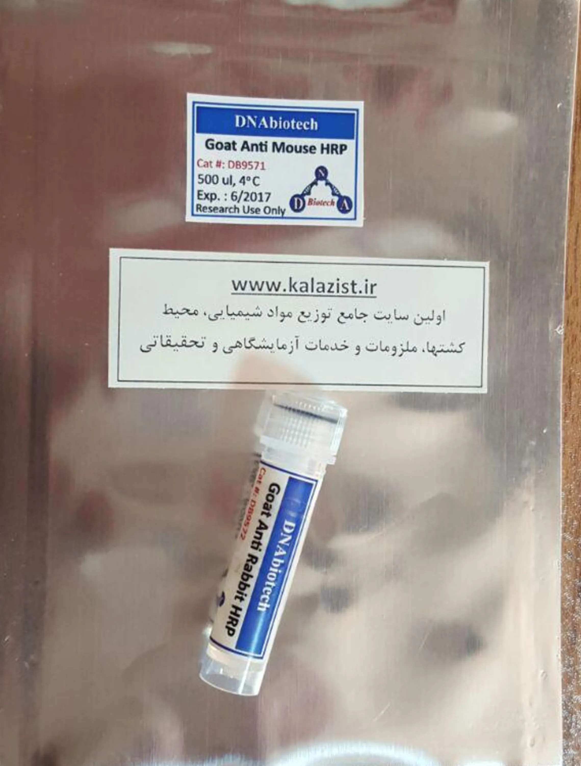 آنتی بادی ثانویه خرگوش HRP کالا زیست  kalazist